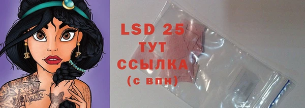 крисы Абаза