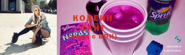 крисы Абаза