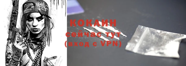 крисы Абаза