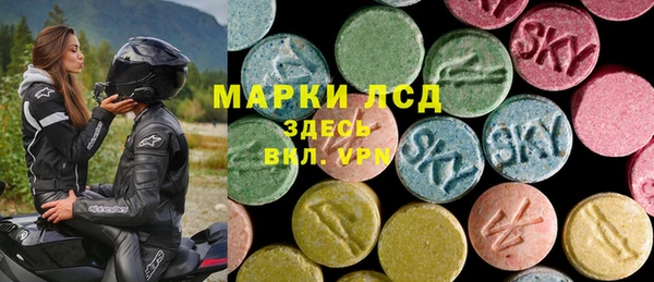 крисы Абаза
