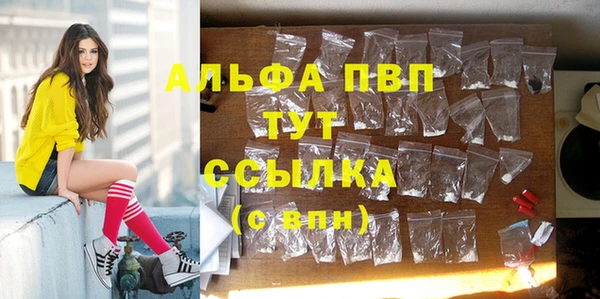 крисы Абаза