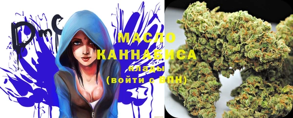 крисы Абаза