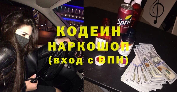 крисы Абаза