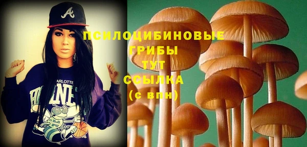 крисы Абаза