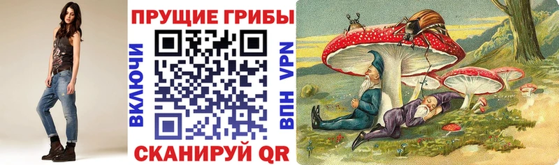 Псилоцибиновые грибы мицелий  Невельск 